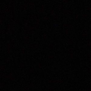 Meet your Posher, Brody